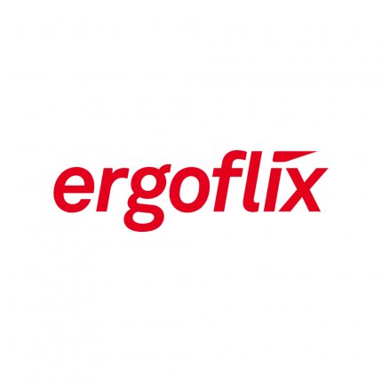 Logotyp från ergoflix Group GmbH