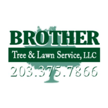 Logo fra Brother Tree & Lawn Service