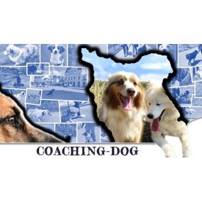 Bild von Coaching Dog - Comportementaliste éducateur canin