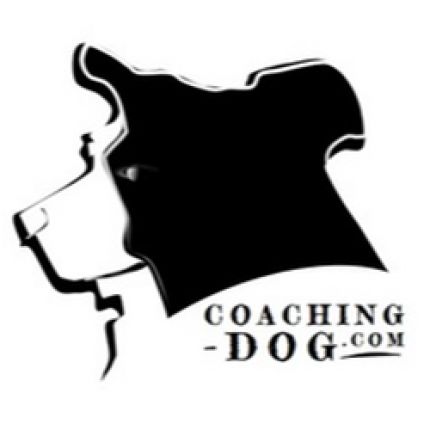 Logo de Coaching Dog - Comportementaliste éducateur canin