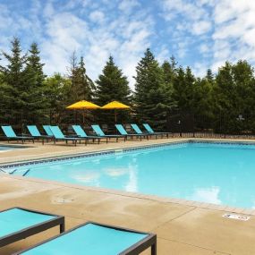 Swimming Pool at Shadow Hills