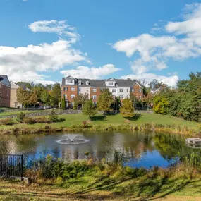 Wooded Area with Pond