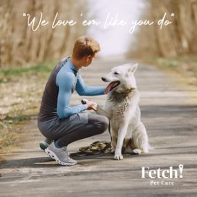 Bild von Fetch! Pet Care of Aggieland