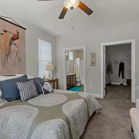 Bedroom with Walk-in Closet