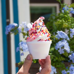 Jacksonville Ice Cream San Marco Dreamette located at 1905 Hendricks Ave., Jacksonville, FL 32207 serves a strawberry twist ice cream cup with rainbow sprinkles
