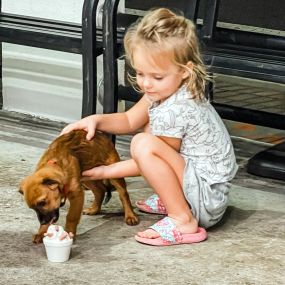 Jacksonville Ice Cream San Marco Dreamette located at 1905 Hendricks Ave., Jacksonville, FL 32207 little girl with puppy and ice cream cup
