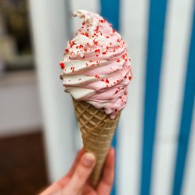 Jacksonville Ice Cream San Marco Dreamette located at 1905 Hendricks Ave., Jacksonville, FL 32207 serves a candy cane twist ice cream cone