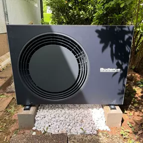 Bild von Meister Rotar Max