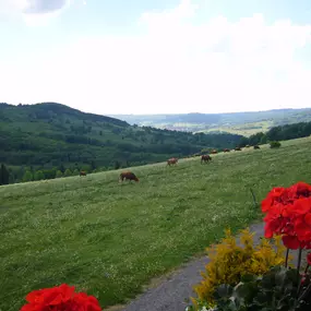 Bild von Landgasthof Rhönstübchen