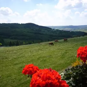 Bild von Landgasthof Rhönstübchen