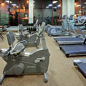 Health club  fitness center  gym