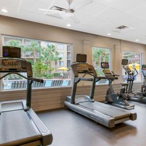 Health club  fitness center  gym