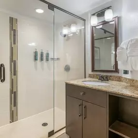 Guest room bath