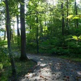 Bild von DRB Elevate Victoria Park at Parkside