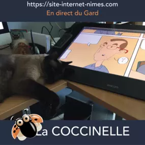 Bild von La coccinelle ZSW