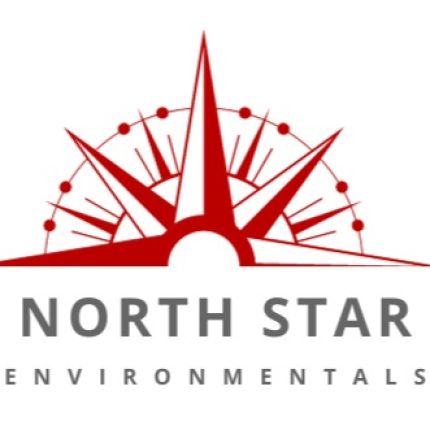 Logotyp från North Star Environmentals