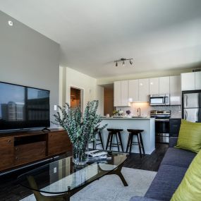 Living room and kitchen area