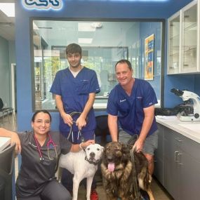 Bild von PetWellClinic - Fort Myers