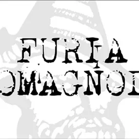 Bild von Furia Romagnola