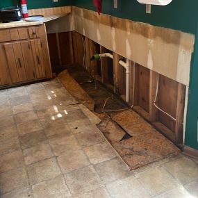 Bild von Water Damage Pros Nashville