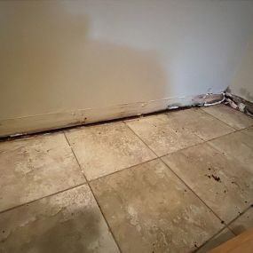 Bild von Water Damage Pros Nashville