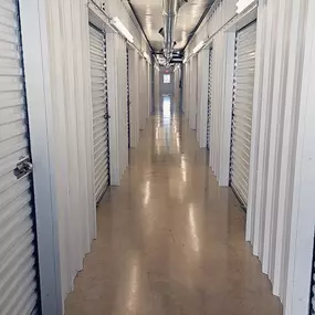 Pest-free storage facility near Chapel Hill, TX