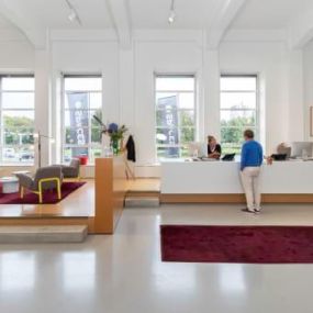 Bild von Spaces - The Hague, Spaces Rode Olifant