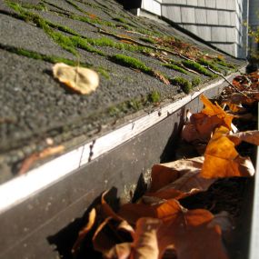 Roof gutter cleaning Seattle