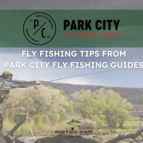 Park City Fly Fishing Company stands out for its top-notch services, delivering a premier experience crafted to meet the needs of every angle. While they offer year-round fly fishing trips, they particularly encourage travelers from March to August to partake in their guided tours. Their emphasis lies not in what you catch, but in what you learn ????????