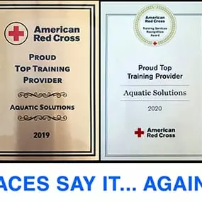 With over 80,000 students successfully trained, Aquatic Solutions is the award-winning training school for lifeguard and first aid training. We handle everything from basic first aid to CPR and AED certification, as well as lifeguard classes
