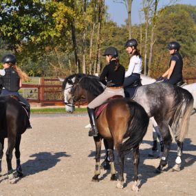 Bild von Lindenhof - Reitstall Stut