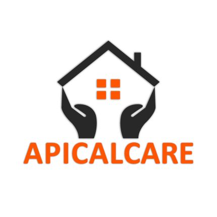 Logótipo de Apical Care Agency Limited