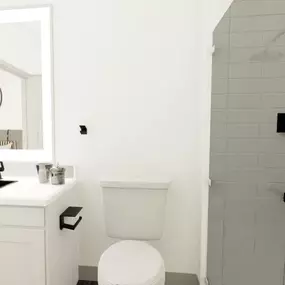 Rendering of the bathroom