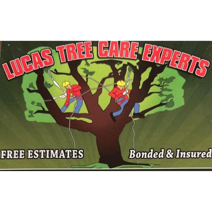 Logotyp från Lucas Tree Care Experts