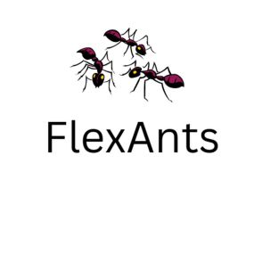 Bild von FlexAnts