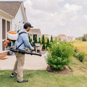 Bild von Scout Pest Control