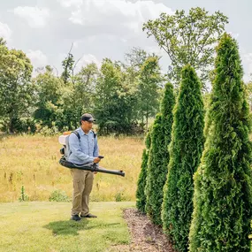 Bild von Scout Pest Control