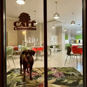 Bild von Café Clementina