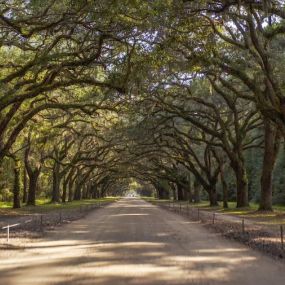 Savannah Real estate: Life in Savannah Parks