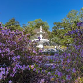 Living in Savannah - Forsyth Park