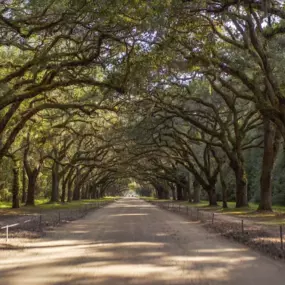 Savannah Real estate: Life in Savannah Parks