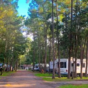 Bild von Peaceful Pines RV Park