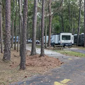 Bild von Peaceful Pines RV Park