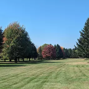 Bild von Arrowhead Golf Course & Marina