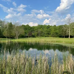 Bild von Arrowhead Golf Course & Marina