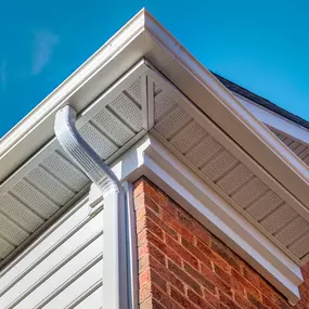 Home Genius Exteriors offers durable gutter guard systems – Keeping your gutters clear and your home safe from overflow and blockages.