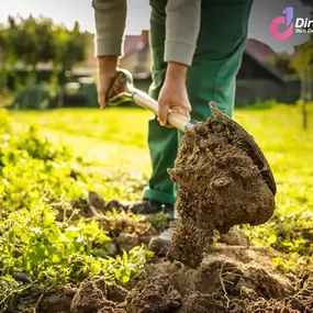 Bild von Direct First Web Design