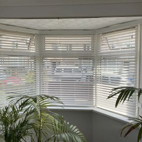 Bild von Hi-Line Blinds