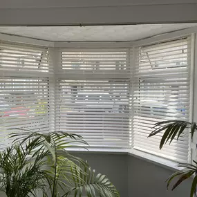 Bild von Hi-Line Blinds