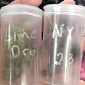 Bild von Pine Island Cannabis